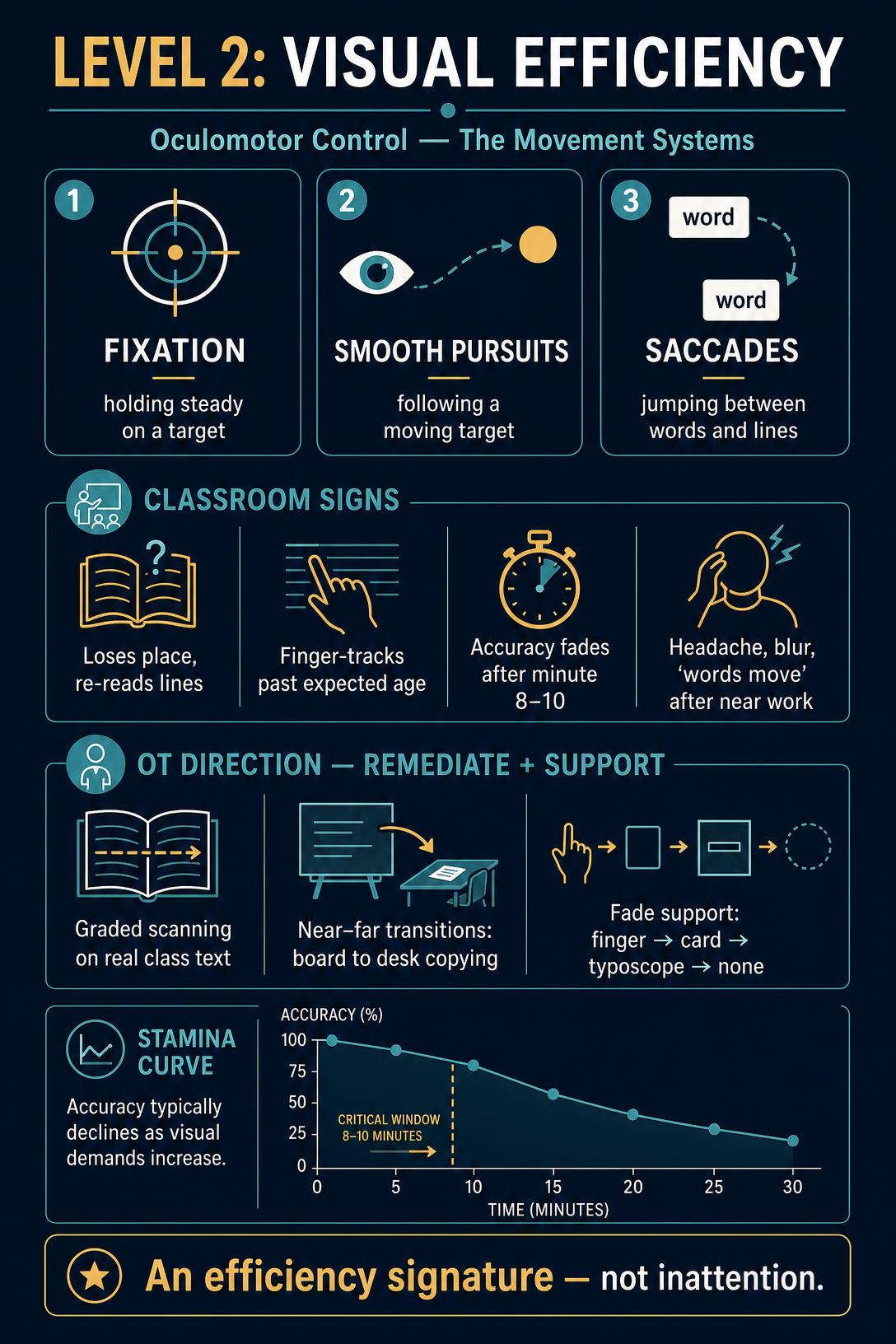 Fixation, smooth pursuits, and saccades carry reading and copying. When they fatigue, accuracy decays on a predictable curve — the classroom signs and the OT directions, side by side.
